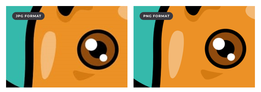 PNG vs JPG image quality on the web