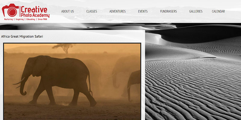 Creative Photo Academy Africa Safari Photography workshop
