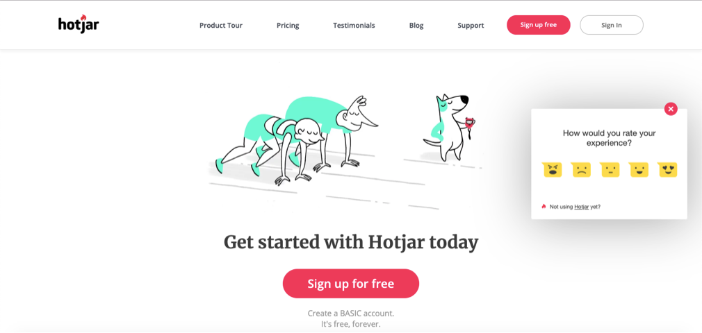 Hotjar survey form