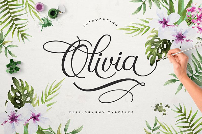 Olivia Free Fonts for Commercial Use