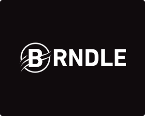 Brndle Themes Black Friday discount
