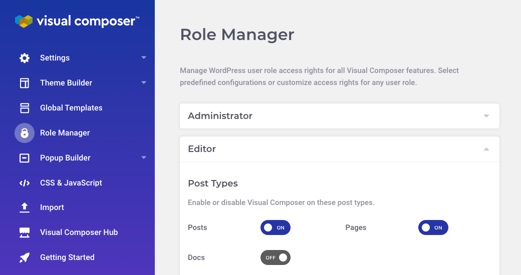 Visual Composer Role Manager options and capabilities