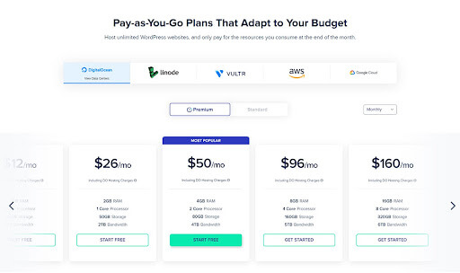 Cloudways hosting pricing plans 