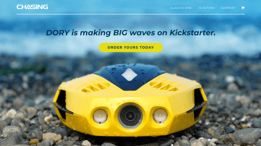 Chasing Website Example Chasing Website Example